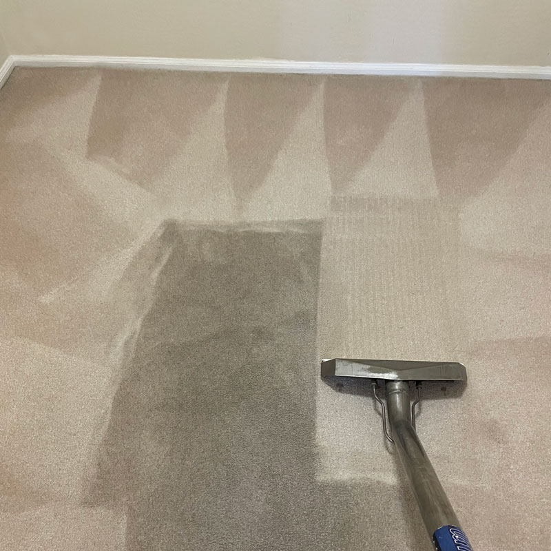 Miramar Professional Carpet Cleaning Stain Removal Chandler