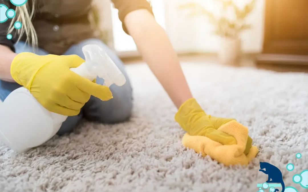 10 Common Carpet Cleaning Mistakes to Avoid