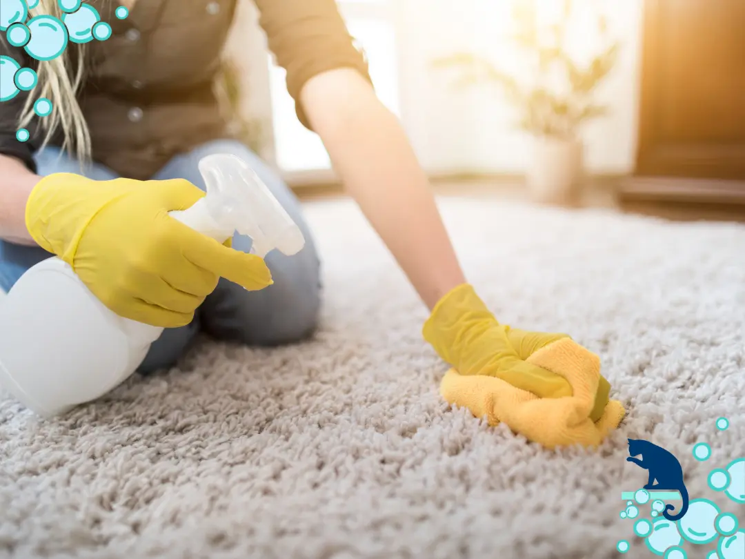 Common carpet cleaning mistakes to avoid