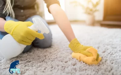 10 Common Carpet Cleaning Mistakes to Avoid