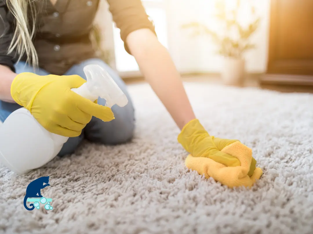 Common carpet cleaning mistakes to avoid