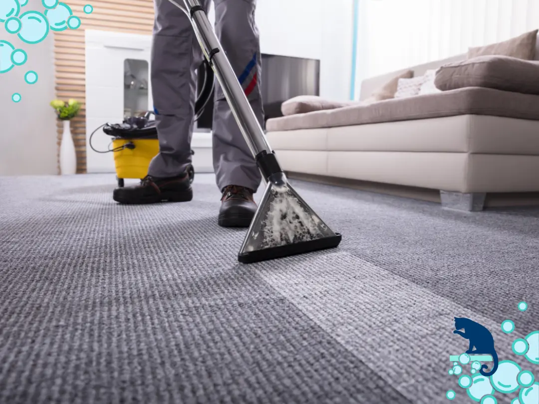 Carpet cleaning myths debunked plus the facts about professional carpet cleaning