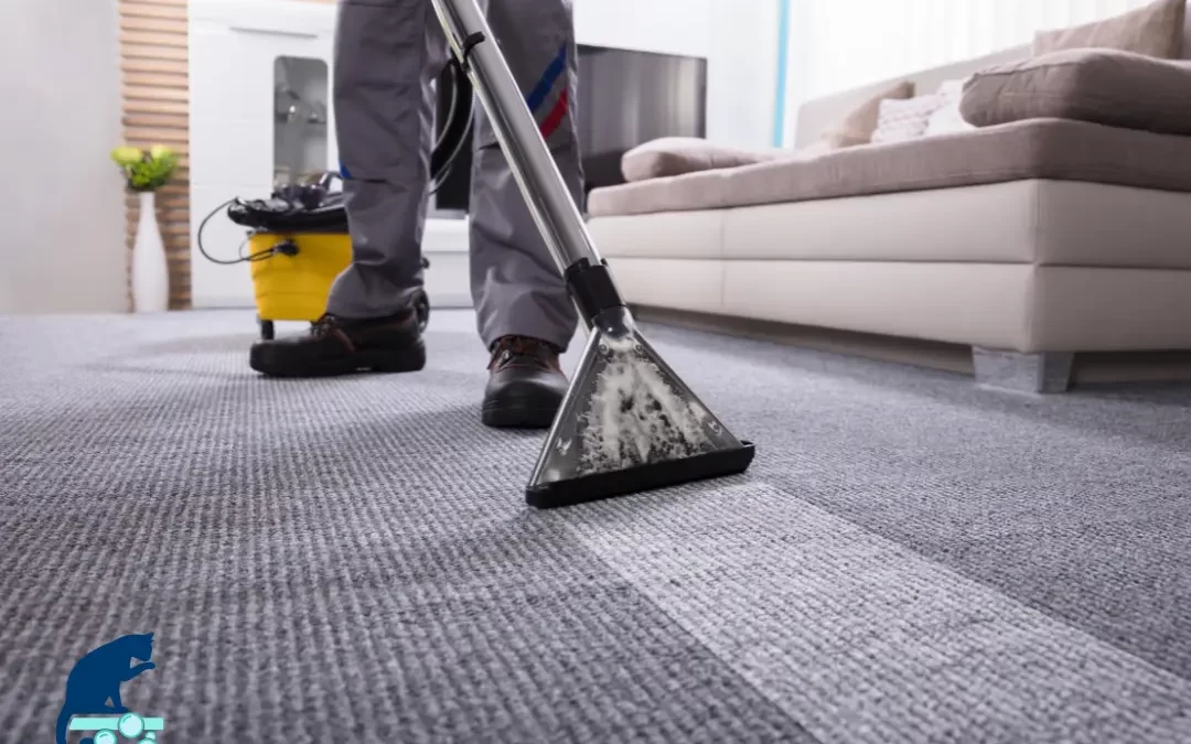 Carpet Cleaning Myths Debunked: What You Need to Know