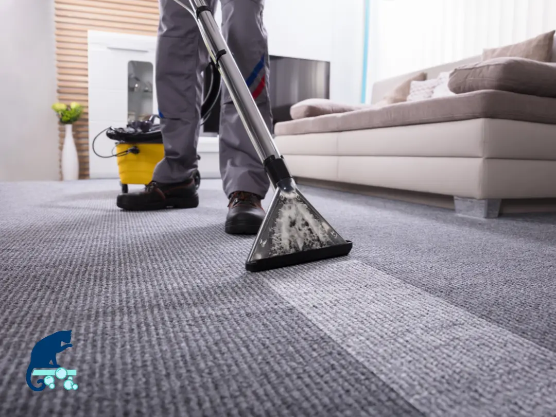 Carpet cleaning myths debunked plus the facts about professional carpet cleaning