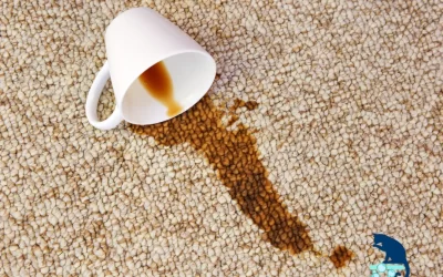 The Secret to Spotless Carpets: Top 5 Carpet Stains and How to Remove Them