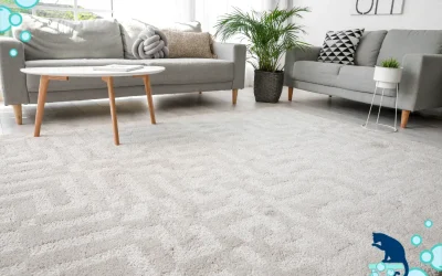 How to Extend Your Carpet’s Lifespan