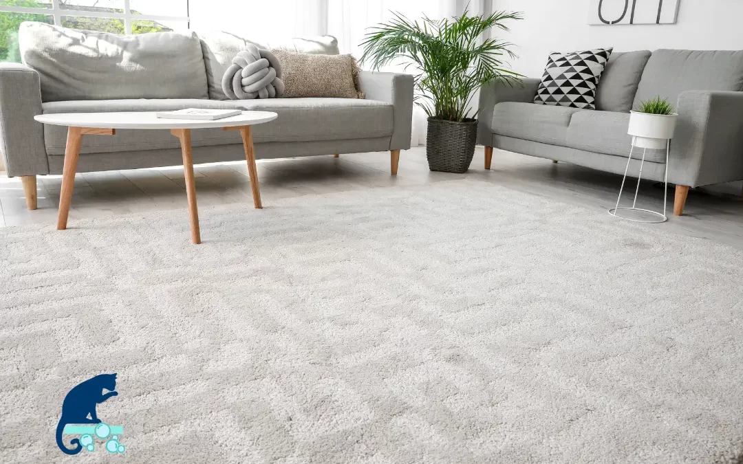 How to Extend Your Carpet’s Lifespan