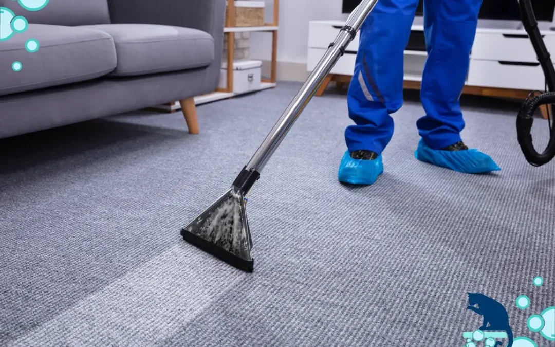 6 Key Benefits of Professional Carpet Cleaning