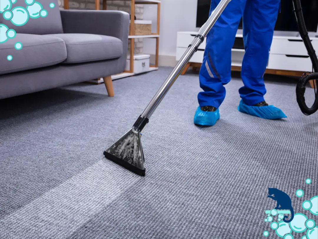 Benefits of professional carpet cleaning in Chandler