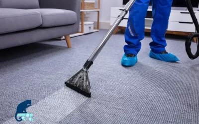 6 Key Benefits of Professional Carpet Cleaning