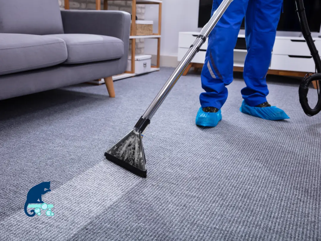 Benefits of professional carpet cleaning in Chandler