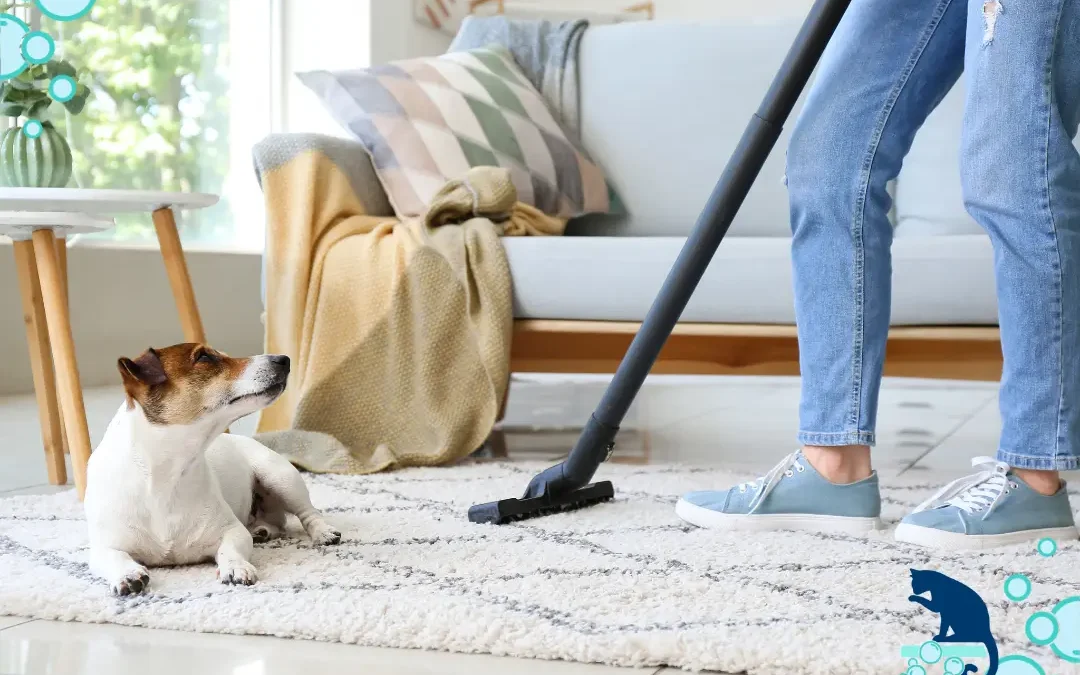 What to Do When DIY Carpet Cleaning Isn’t Enough