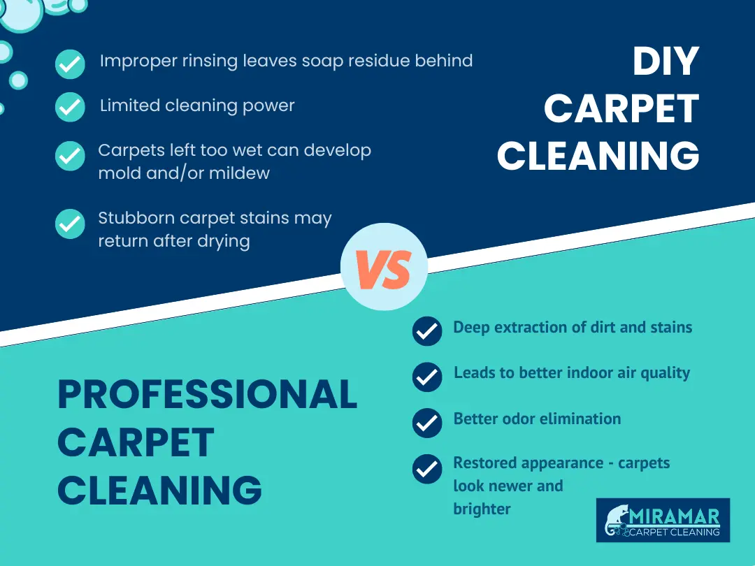 DIY Carpet Cleaning vs. Professional Carpet Cleaning