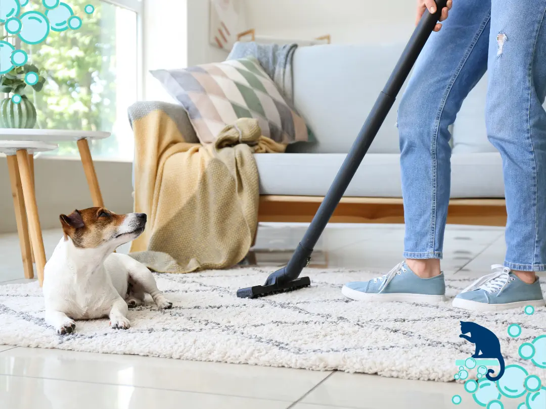 DIY Carpet Cleaning