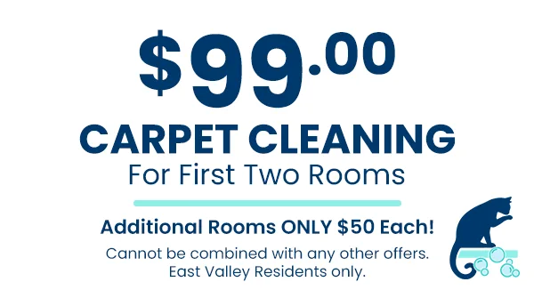10 percent off for new cleaning service customers