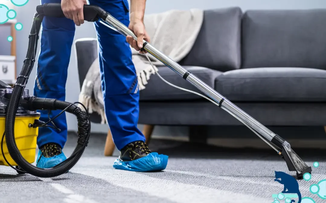What Makes Professional Stain Removal More Effective Than DIY Cleaning Solutions?