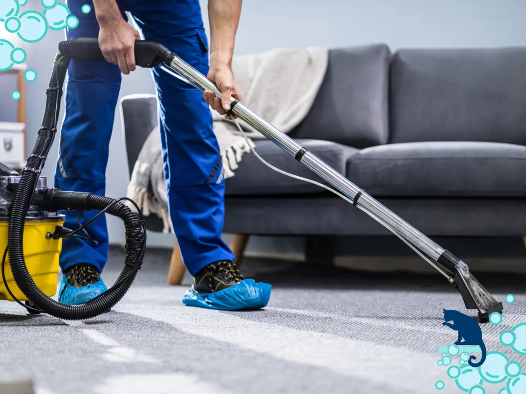 Professional Stain Removal