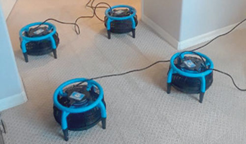 Your Chandler carpet cleaner should include pro drying